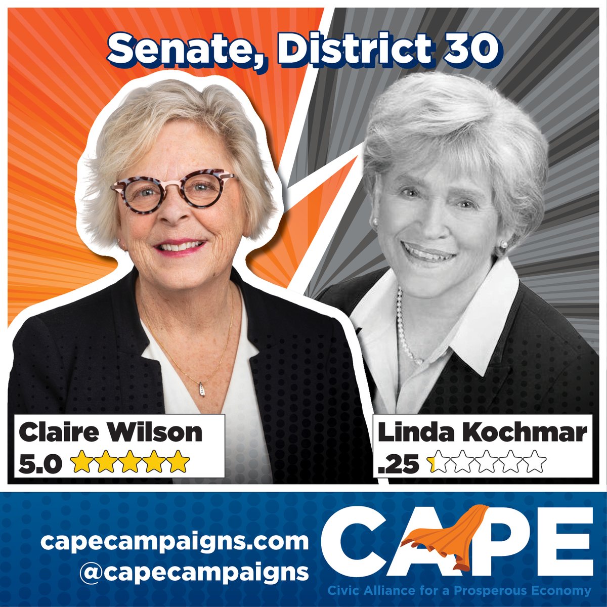 capecampaigns's tweet photo. The bad trickle-down superZERO reboots keep coming. But in LD30, we're confident voters will choose the better franchise: another term with @ElectCWilson, a leader in the battle for growing prosperity and our economy from the middle out, and one of our PERFECT SCORE superheroes. https://t.co/3jpHwbQTEe