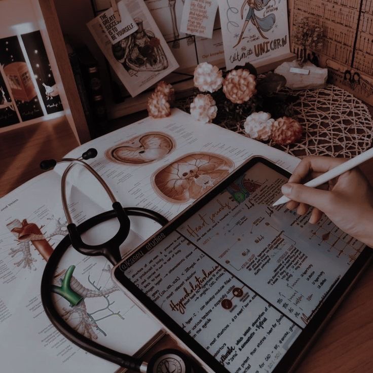 resumosensino's tweet photo. • Sites para estudar para o ENEM 2022 - a #studytwt thread https://t.co/p021k8adiT