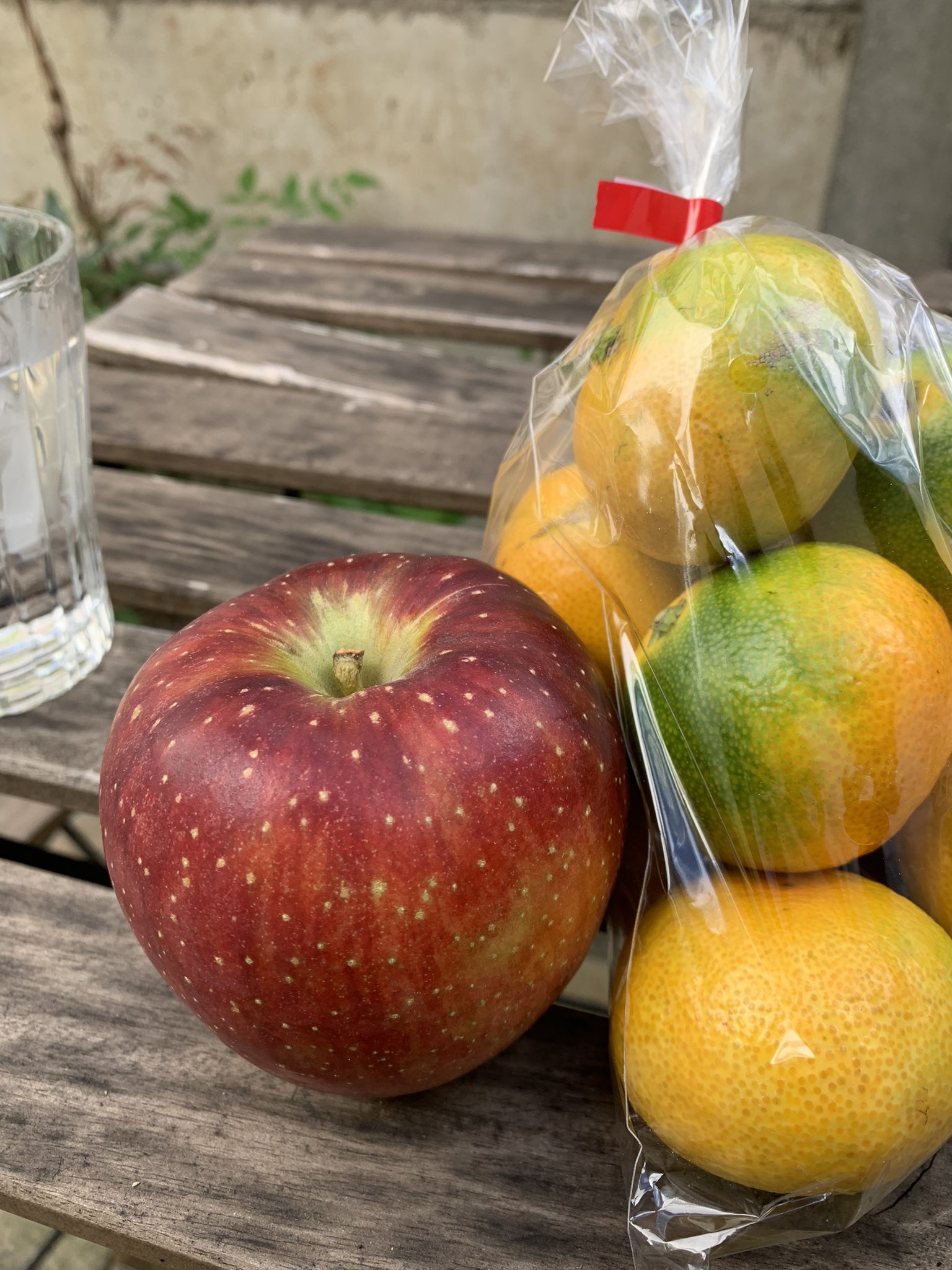 りんご♡ページ まるかじりんご ミニりんご Sサイズ 小玉 減農薬 信州りんご飯綱