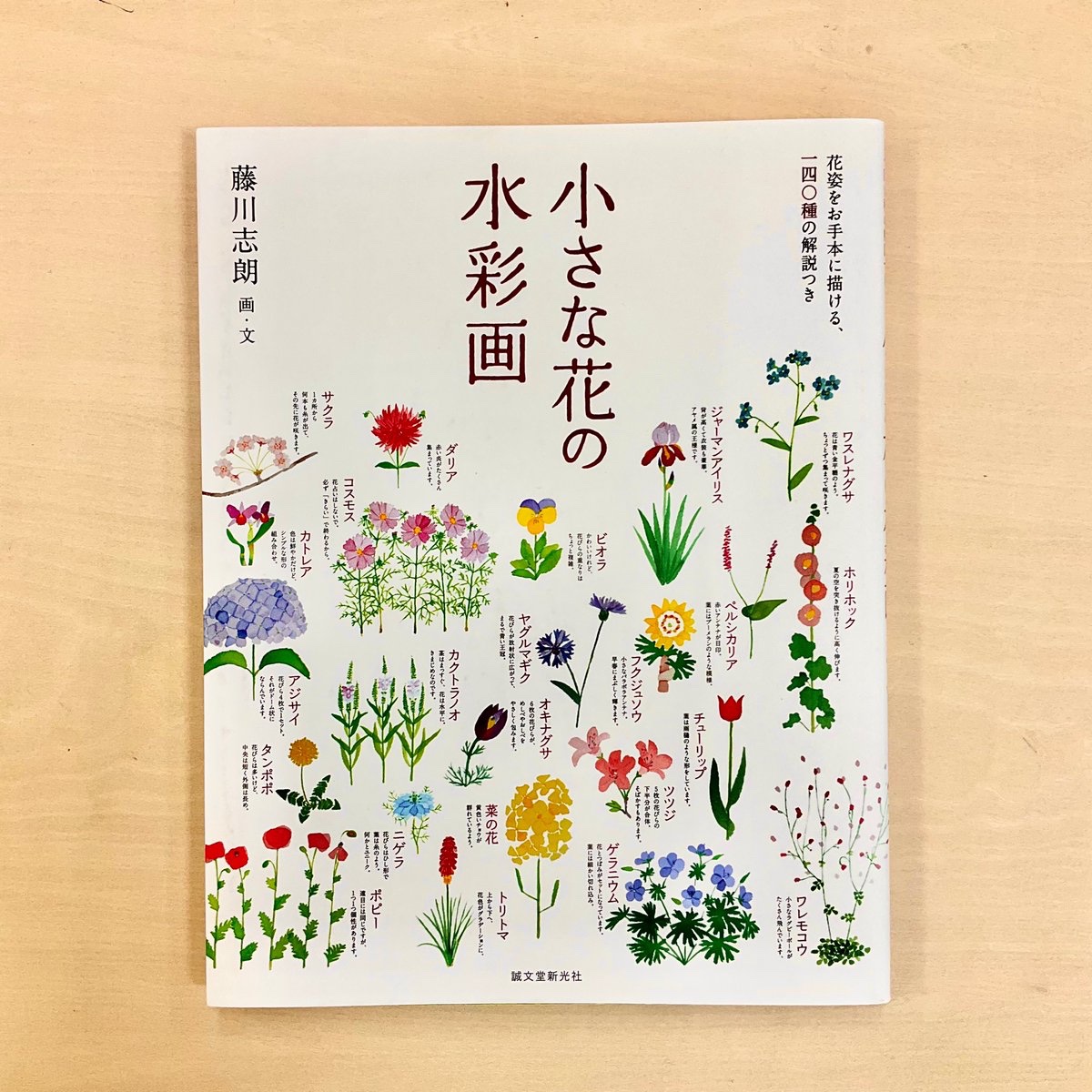 絵画 井上護画伯作品 サムホール額付き、箱無し！