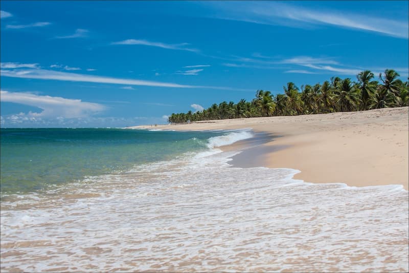 lulinha2turno's tweet photo. Já visitaram as praias de Maceió? https://t.co/TdzvdkTKjJ