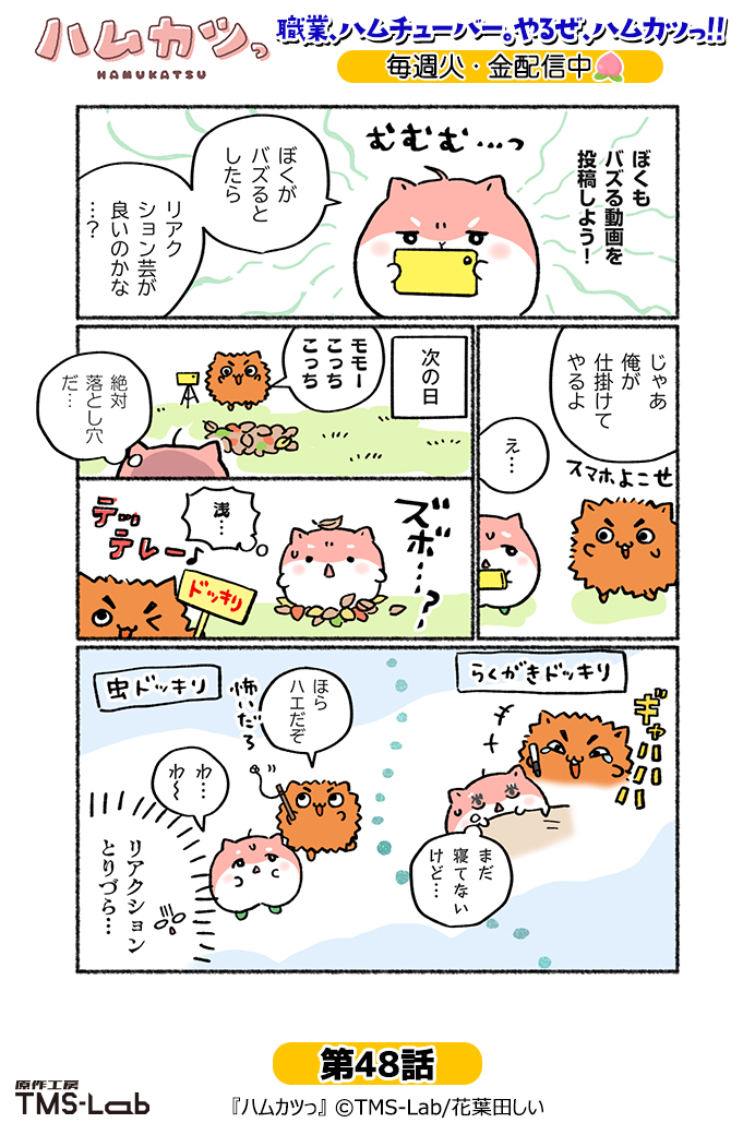 TMS_Lab's tweet photo. ╭━━━━━━╮
　#ハムカツっ　
╰━ v ━━━━╯
「リアクションとりづら…」

#漫画が読めるハッシュタグ https://t.co/ftEQn5zQh4