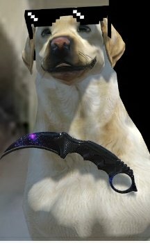 TraviSUpdates🐶🐕 tweet media