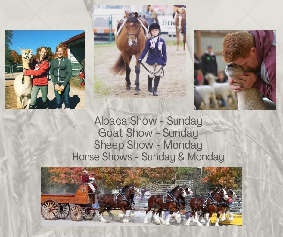 It’s Ontario Agriculture week and there’s no better place to celebrate! Come join us October 7-10th and take in our many shows and displays. #agriculture #fallfair