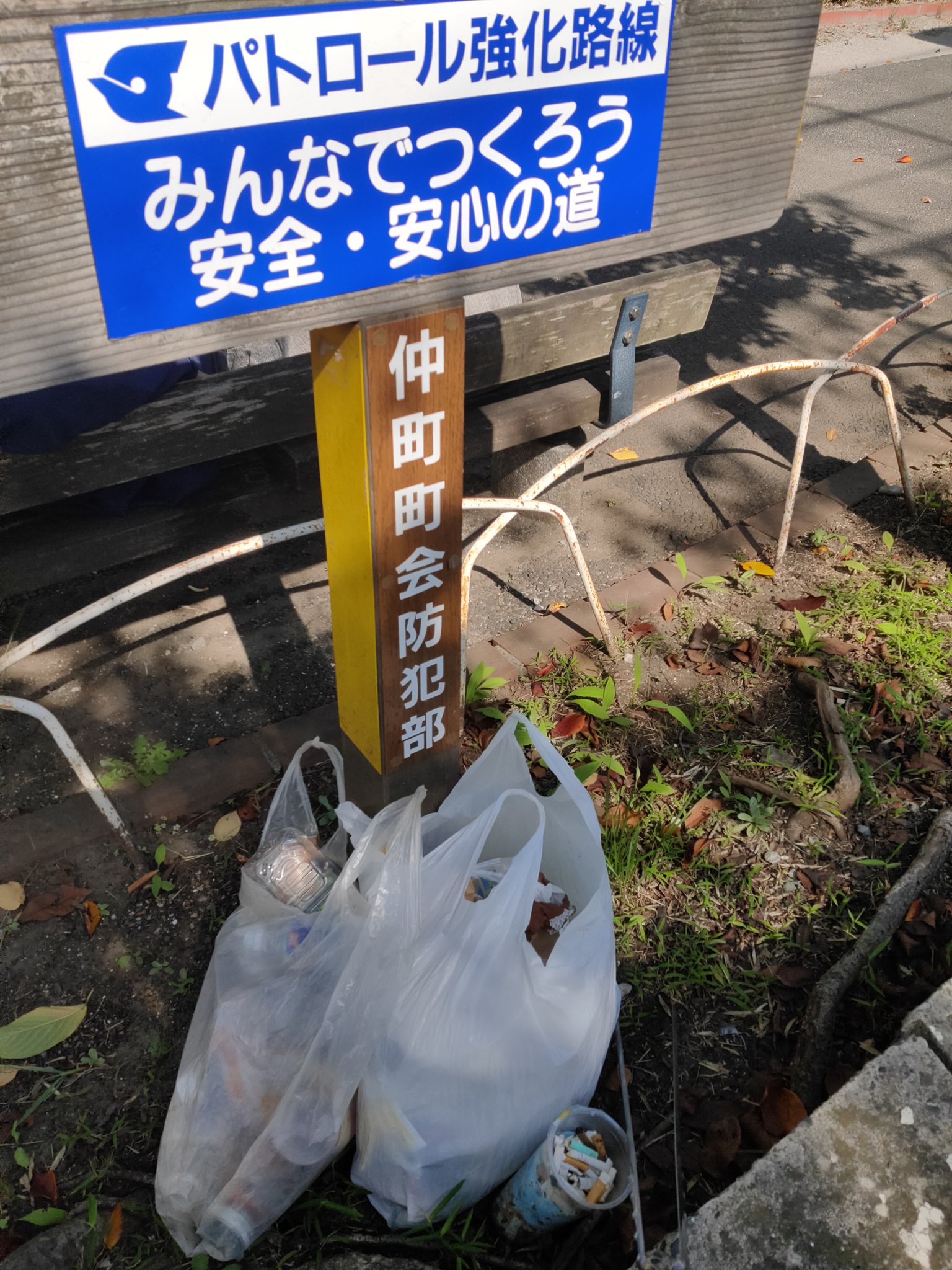 250歩の散歩道 Gingaastar Twitter