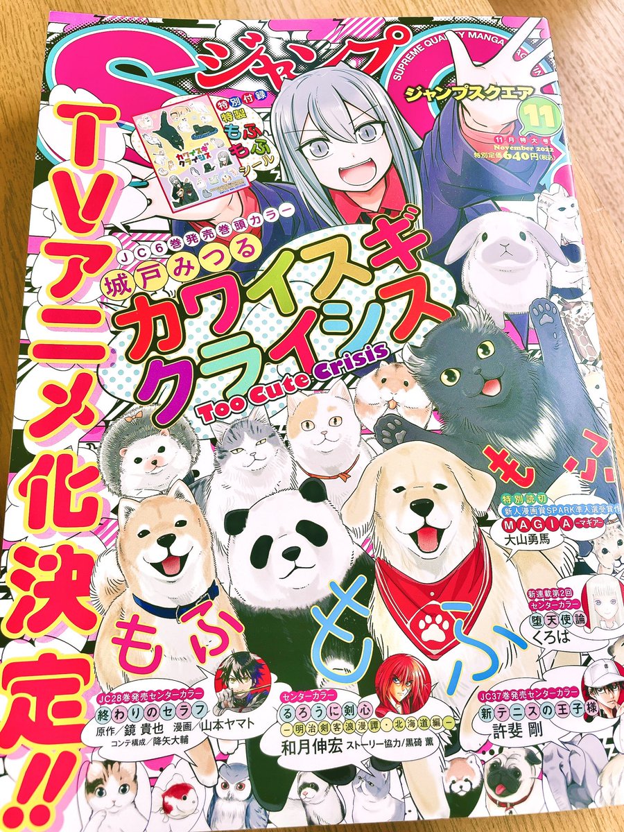 katohhhhhh's tweet image. 皆様こんにちは！本日はジャンプSQ.11月特大号発売日です！今月の青の祓魔師は番外編を掲載しています。久々にクロが主役！ほっこり（？）するお話、皆様も是非癒されてください〜☺️ 今月号もどうぞよろしくお願い致します！🐈‍⬛✨