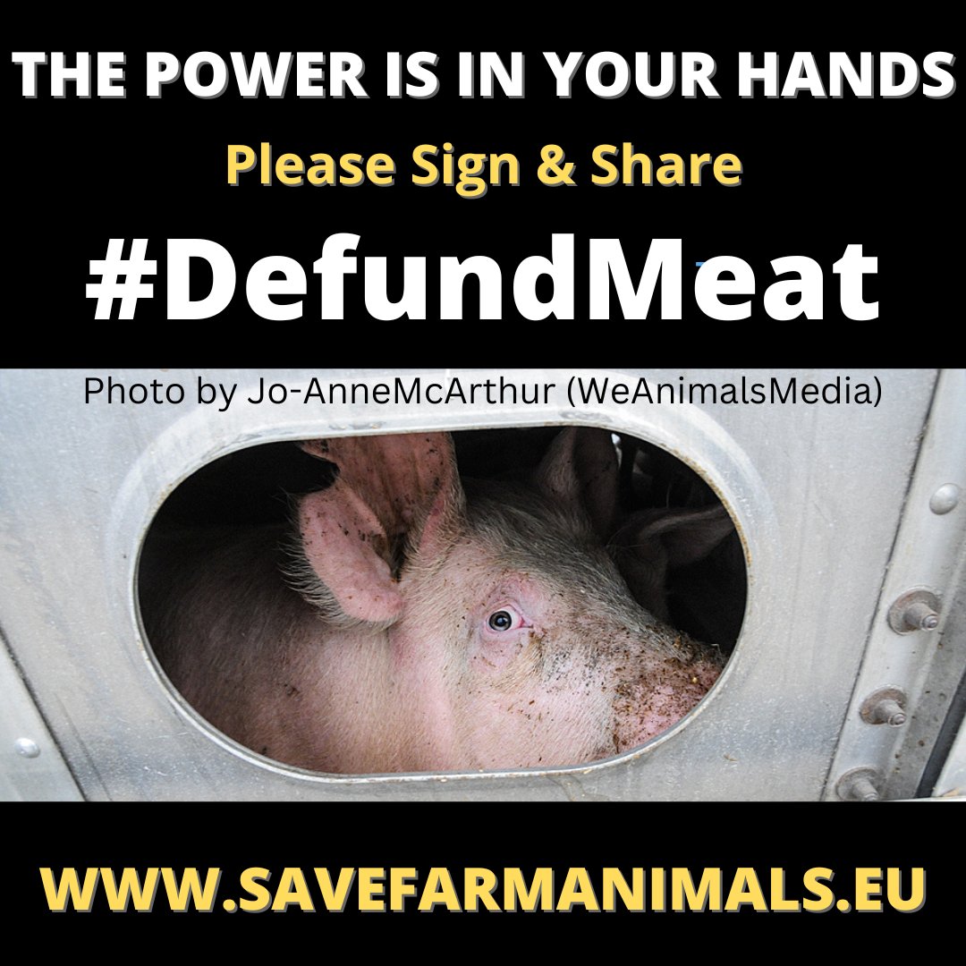 ETSA_Ireland's tweet photo. #DefundMeat #DefundDairy #endtheslaughterage
END SLAUGHTER OF FARMED ANIMALS Ask the European Commission to subsidise Ecological Alternatives to Livestock farming 🙏Sign the 'End the Slaughter Age' European Citizens Initiative at:
https://t.co/MRohbrK706
Or
@ Link in the Bio🙏 https://t.co/ZAM1fab9n3
