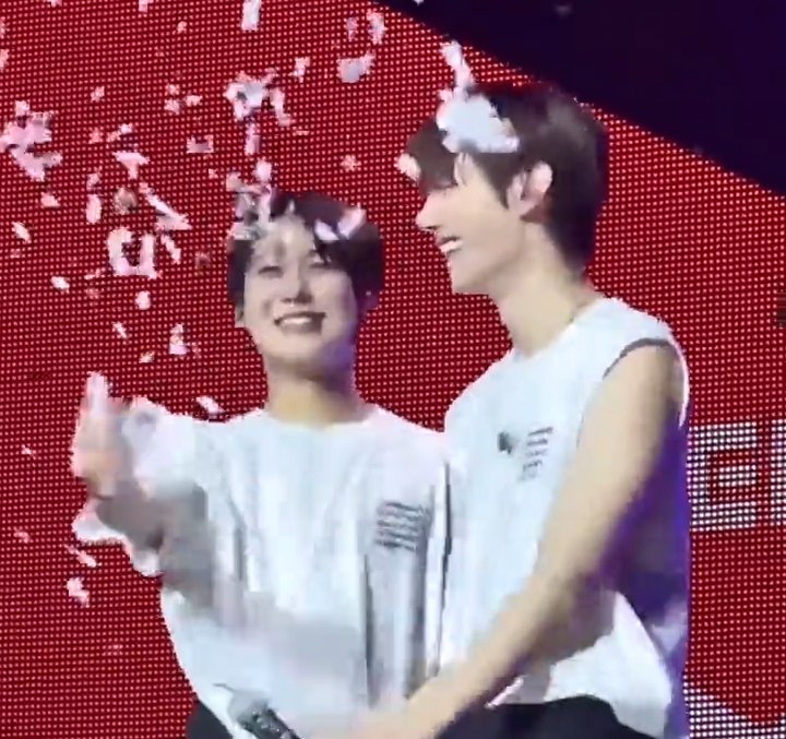 sunsungallery's tweet photo. a sequence of sunoo throwing confetti's at sunghoon 🥹 https://t.co/0EOyzU85na