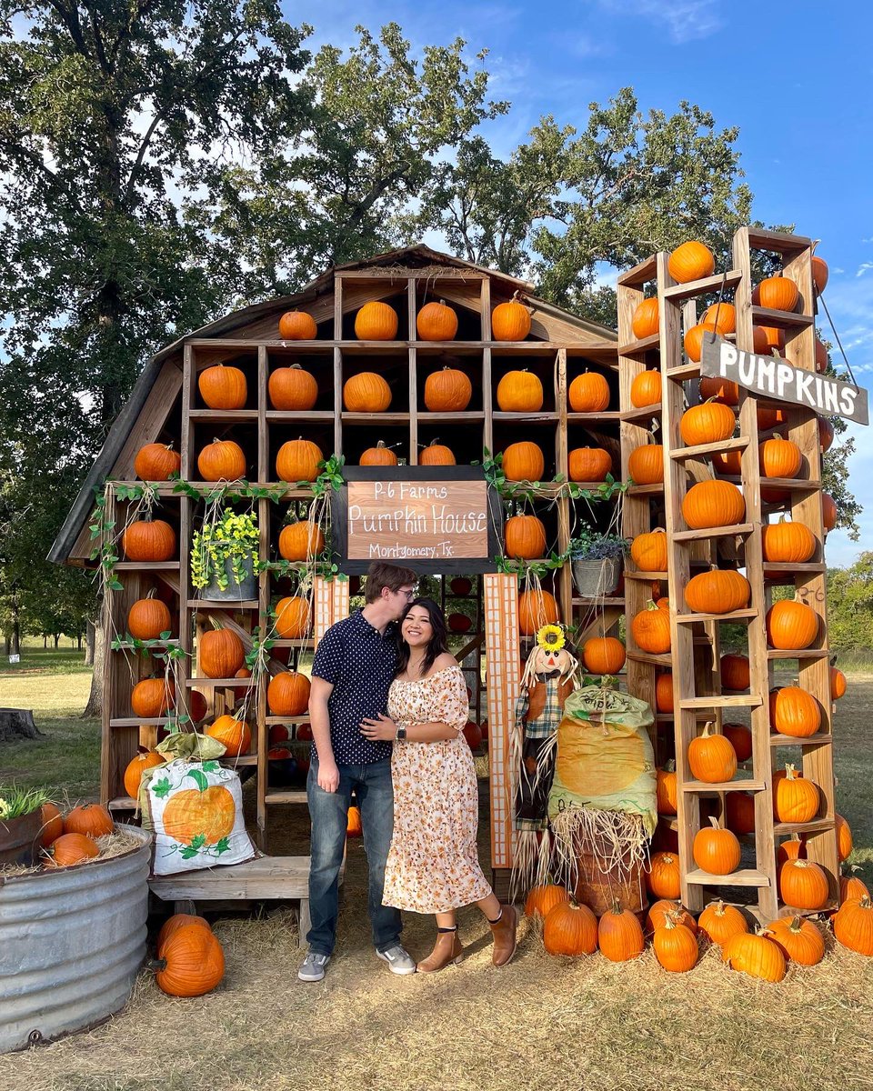hermecasas's tweet photo. 🎃 🍂 https://t.co/JRUHDtEbO6