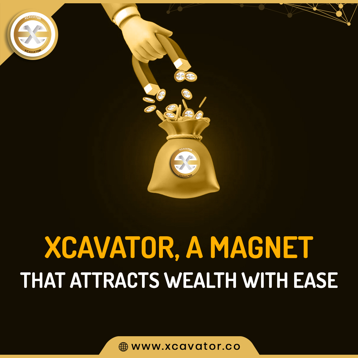 Xcavator International tweet media