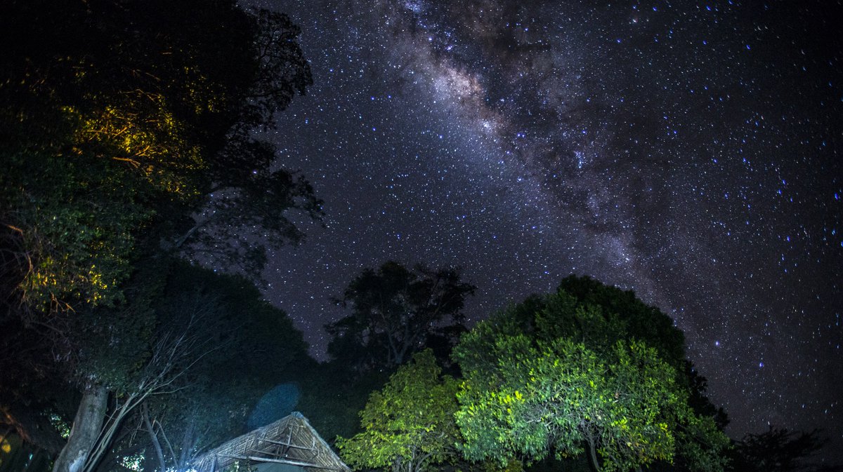 The Mara is a land filled with life, if you want to know how much - just sit outside your tent at night and listen.

 #masaimaranationalpark #masaimarasafari #masaimara #travel #castelmara

femmehub.com/2022/08/04/cas…