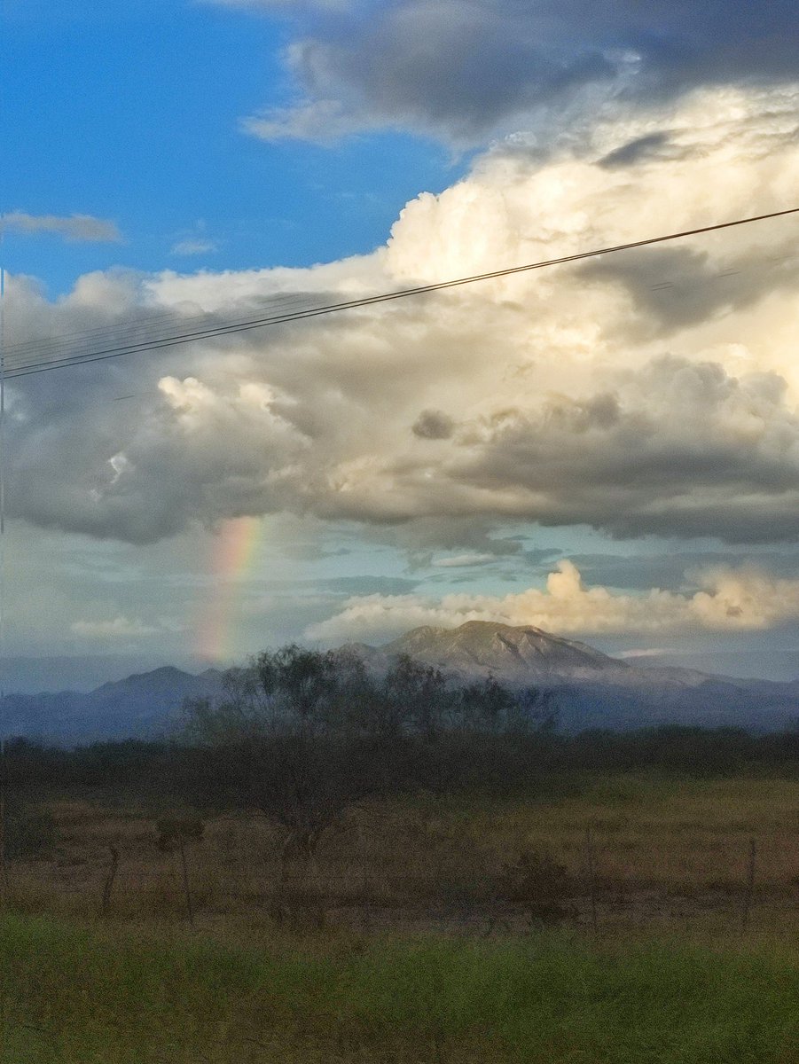 danielaeli1419's tweet photo. @isdailymood 🌈💜 https://t.co/b4QDAGDjQR
