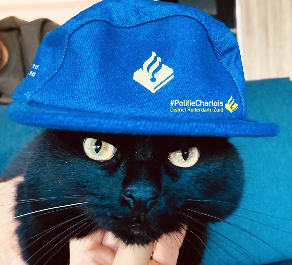 POL_Charlois's tweet photo. Het kat en muis spelletje gaat stiekem thuis gewoon door 🤪 #FijneDierendag 😸🐭 ^LvV en ^LdR https://t.co/va8s7Lr4sD
