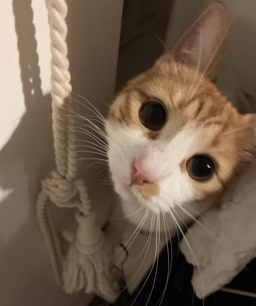 Dan Rigsby tweet media