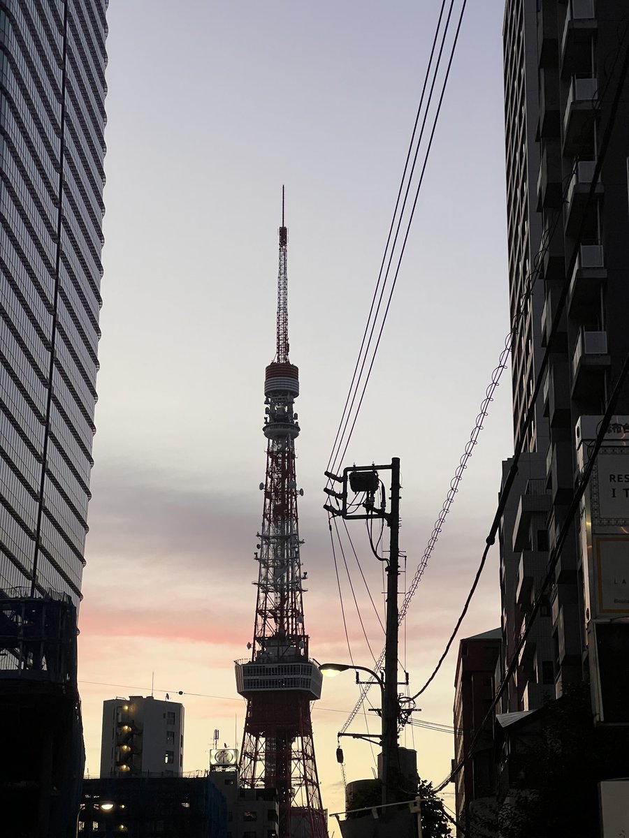 AnimeRoomy's tweet photo. Hey roomies! Mikan here🍊🍊
Although it’s a bit far away I got to see the Tokyo tower! I really need to go see some more places in japan😵‍💫

Any recommendations!? 

#animeroomy https://t.co/o6aJBZBvHb