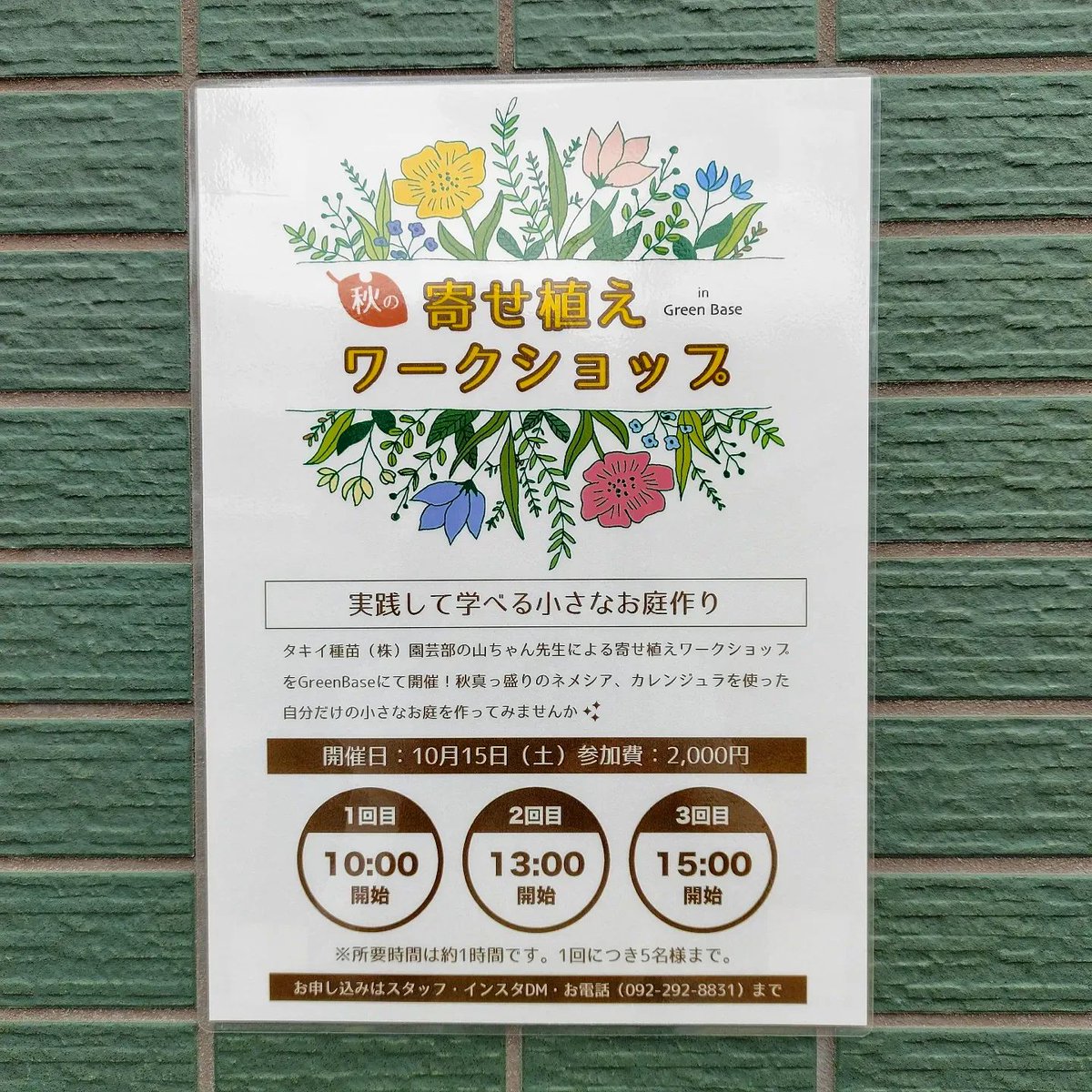 greenbase_'s tweet photo. 秋が深まってきましたね🌰⁡
⁡優しい光に植物たちも⁡輝いてみます✨
⁡シックなドライフラワーも、秋らしいです。⁡
🌱#GreenBase⁡ ⁡にお気に入りを見つけにいらして下さい❤⁡
⁡⁡⁡
⁡💐AUTUMN SALE開催中⁡
⁡⁡ドライフラワー30%OFF‼️⁡
⁡🌼天井ラッピングドライフラワー 1000円(税別)⁡ https://t.co/R1cugDcfch