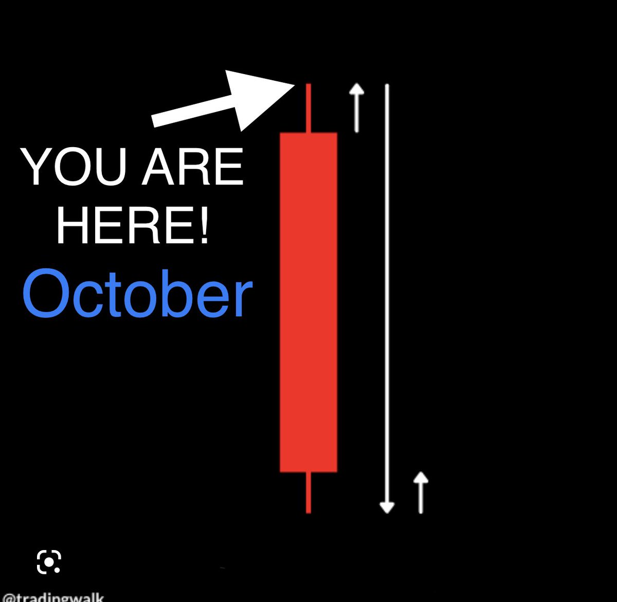 Market Polls tweet media