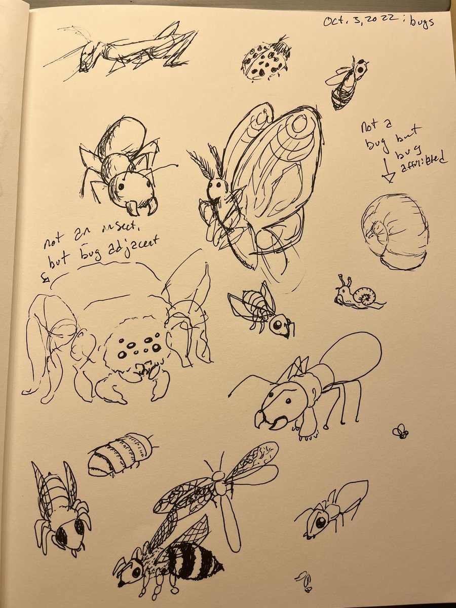 LaurelSamuelson's tweet photo. #Drawtober day 3: Bugs
Alternative #inktober22 using @codibearscave's 2020 prompt list. https://t.co/WZ9voCY6Al