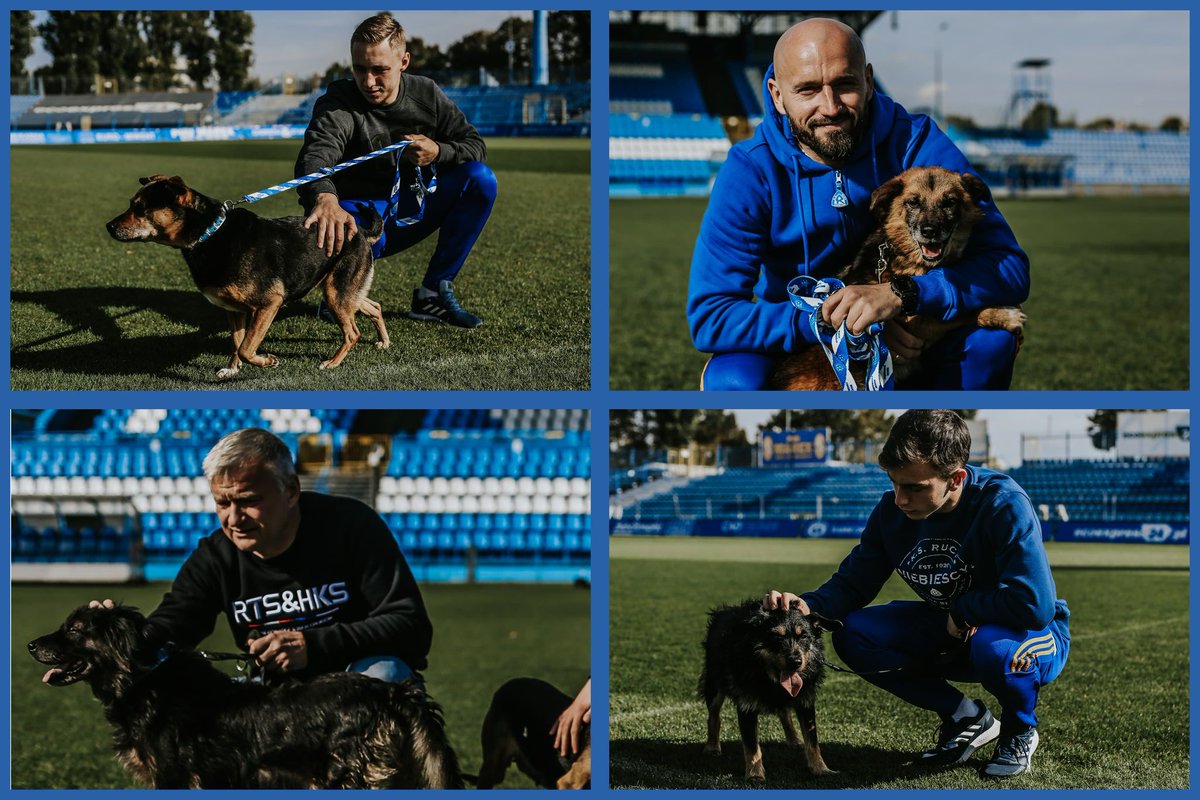 📆Obchodzimy dziś Światowy Dzień Zwierząt i przypominamy o akcji CHORZOWSKIE PSY🐕 #WielkieNiebieskieSerce💙

Można ją wesprzeć wpłacając pieniądze na konto:

Ruch Chorzów S.A.
17109025900000000143839342
Tytuł: Darowizna - Chorzowskie Psy

PS Pokażcie zdjęcia ze swoimi pupilami📸