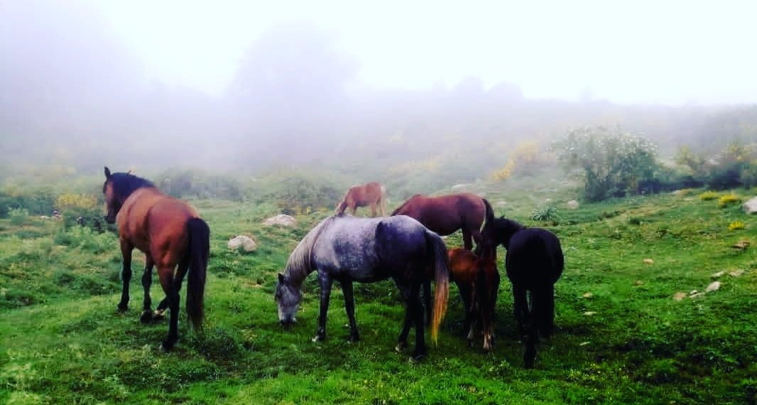 bisaib's tweet photo. #travel #travelling #Kabylie #traveler #photo #photography #photooftheday #photographer #beauty #beauté #Europe #bio #tourist #beautiful #photos #nature #naturelovers #natureza #flowers #instadaily #algerie #beautifull #pic #goodnight #canada #color #Paris #hiking https://t.co/vEsAdQ3EUp