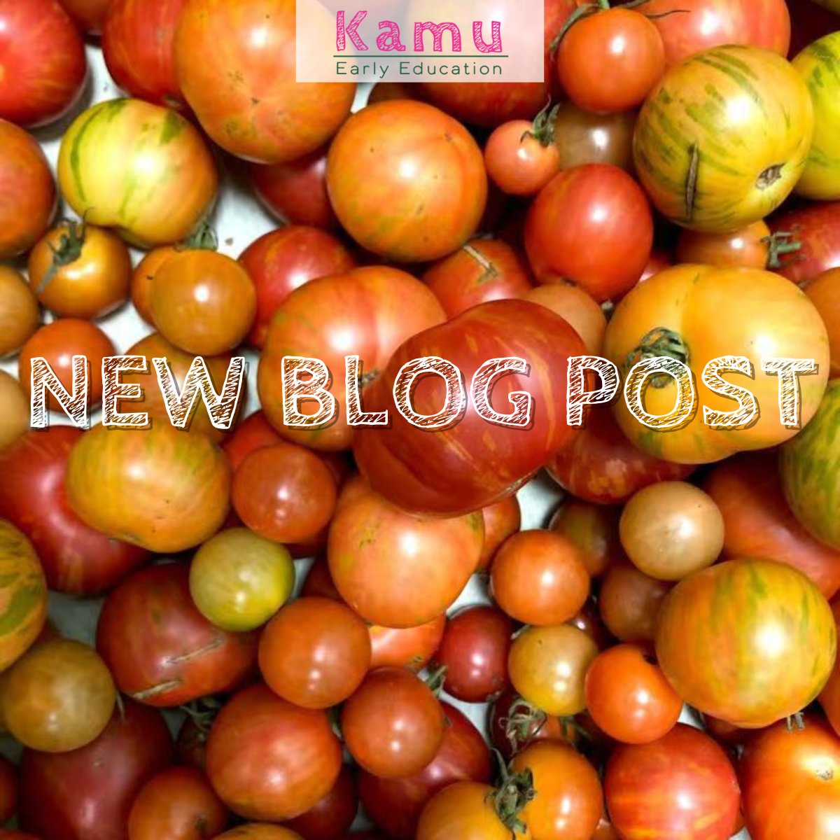 KamuEducation's tweet photo. Read the story of the gardening summer of Kamu Pitäjänmäki, and what worked and what we need to develop for the next year. The blog post is only in Finnish.👉https://t.co/wG7JsiGUOZ 
#childcare #urbangardening #outdoors #daycare #Kindergarten https://t.co/xc0bsfJtng