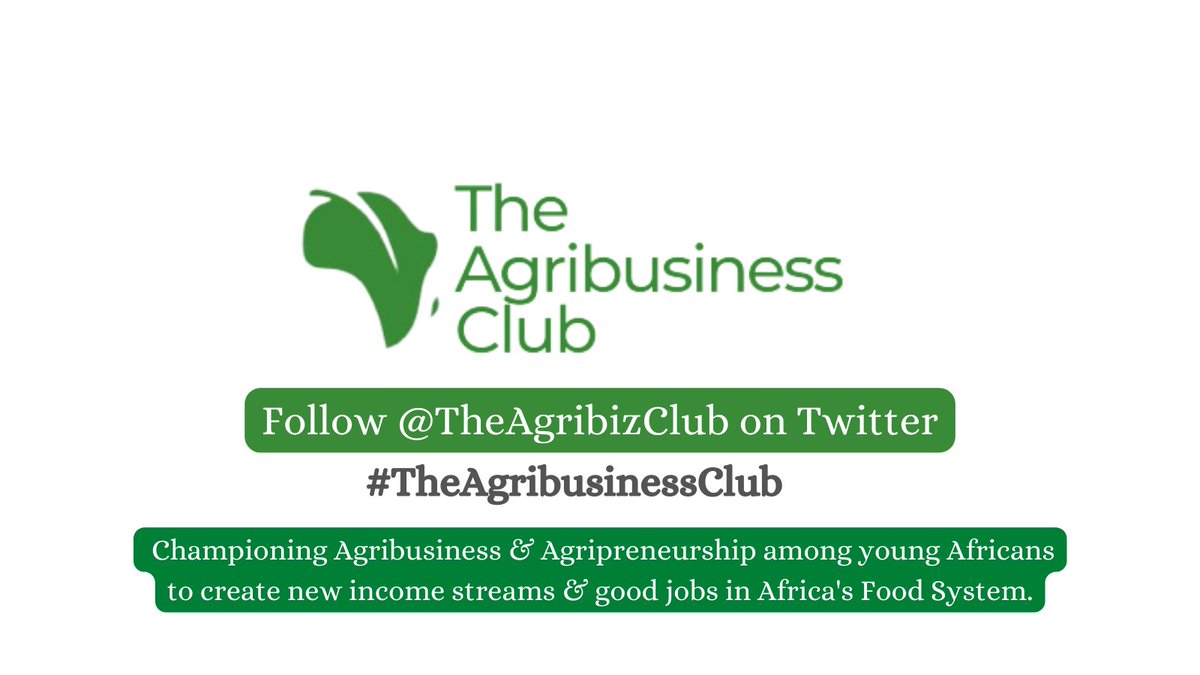 KelvinOdoobo's tweet photo. As we move forward, we would like to ask you to follow our new dedicated platform for empowerment of youth in Agriculture at @TheAgribizcClub and to use our new hashtag #TheAgribusinessClub in your retweets and responses to keep the conversation  about our youth alive https://t.co/oiWjNaVLnf