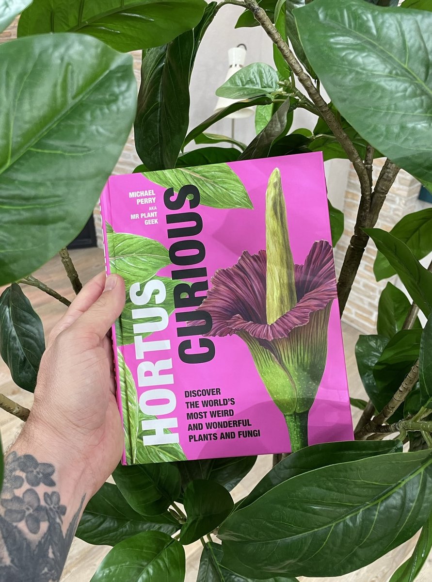 There are 3 ways to order my new book-

Amazon: bit.ly/3yBisq3
Indie: bit.ly/3SDdkcM
My own website: bit.ly/3rqwZka

Thank you 😘