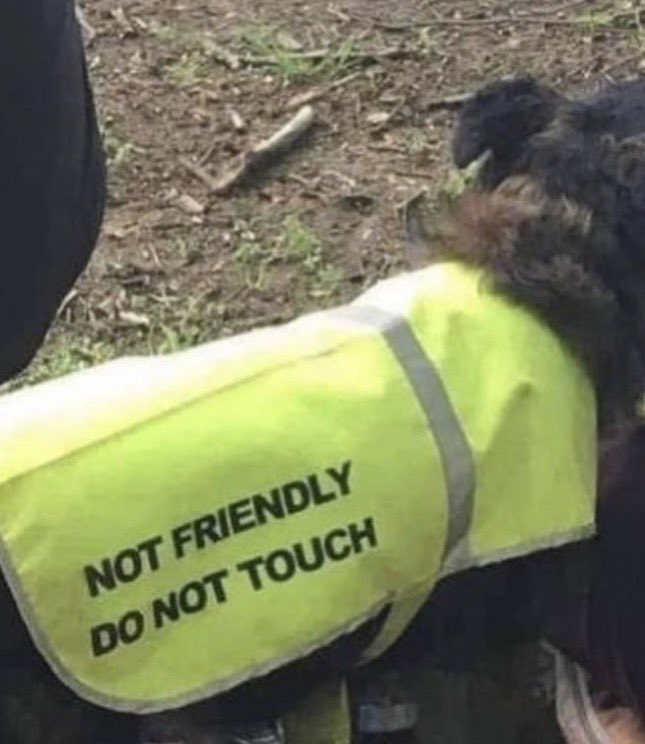 I need this jacket.