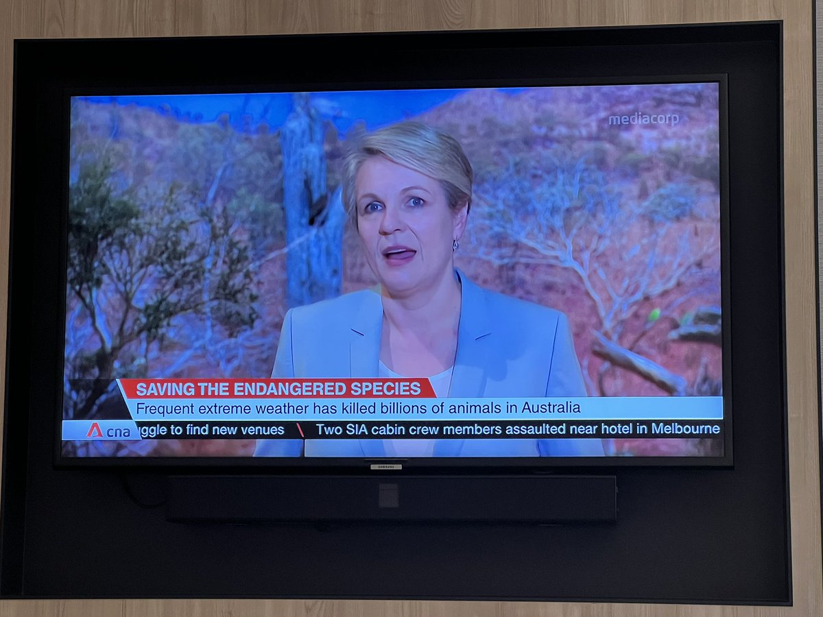 Dr Erin Watson tweet media