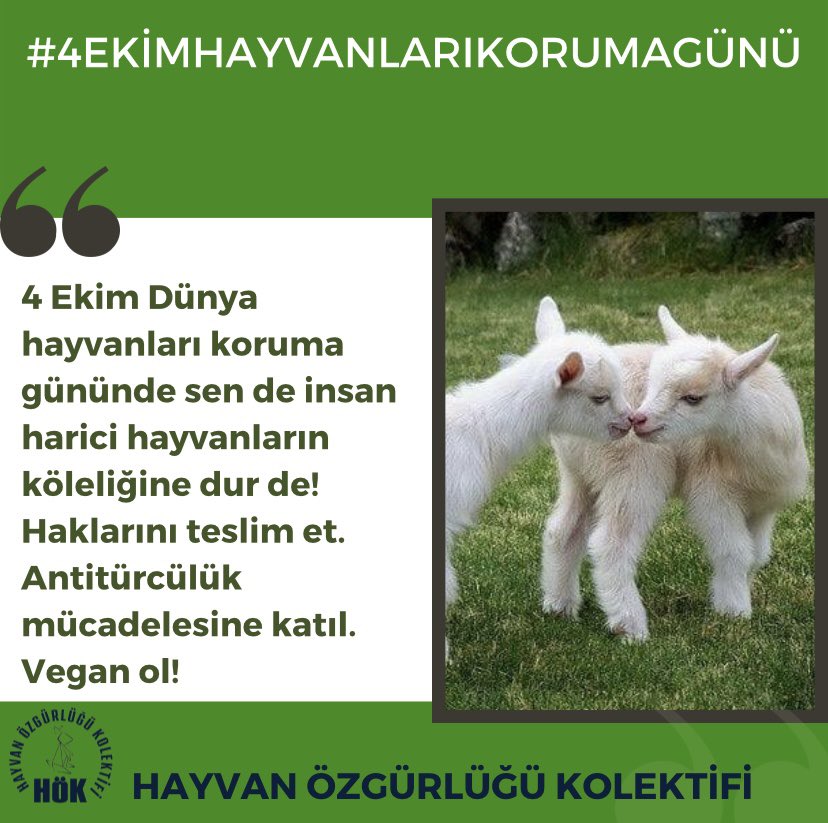 #4EkimHayvanlarıKorumaGünü  🌱