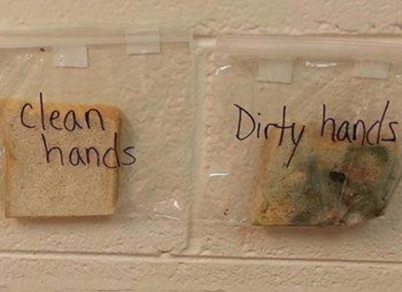 NDNAtalk's tweet photo. We know that germs spread easily in childcare settings 😷 explore the world of germs &amp; decomposition with our baggy bread activity: https://t.co/EAgMcORrdJ

Sign up to myNDNA to access a free activity and tip EVERY WEEK here: https://t.co/Z8Xe4Js8VQ

#NationalHygieneWeek https://t.co/1lfhG30f2u