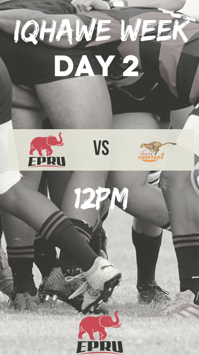 EP_Rugby1's tweet photo. Iqhawe Week 1
Day 2 - today at 12pm

EPRU V FREE STATE CHEETAHS

#eprugby #rugby #futurerugbystars https://t.co/K58q1S5hw0
