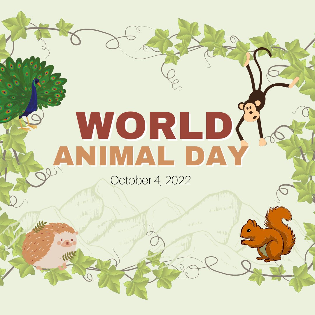 Selamat Hari Hewan Sedunia!
Hari ini, 04 Oktober 2022 diperingati sebagai Hari Hewan Sedunia untuk memberikan kehidupan yang layak bagi hewan di dunia.