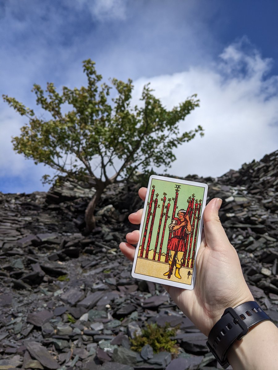 The 9 of wands is a card of resilience in the face of recurrent challenges. There's a real strength in the worn and injured figure who remains standing in spite of it all. 

It reminds us that we have endured so much, and we must keep standing up for what is right #queeractivism