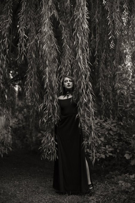 Would you follow me into the woods? https://t.co/Ra2jFPtFPa