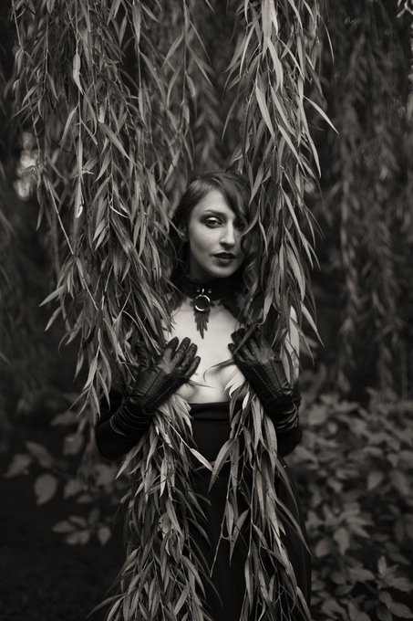 Would you follow me into the woods? https://t.co/Ra2jFPtFPa