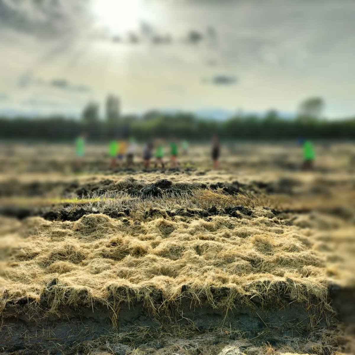 Escola Can Fabra tweet media