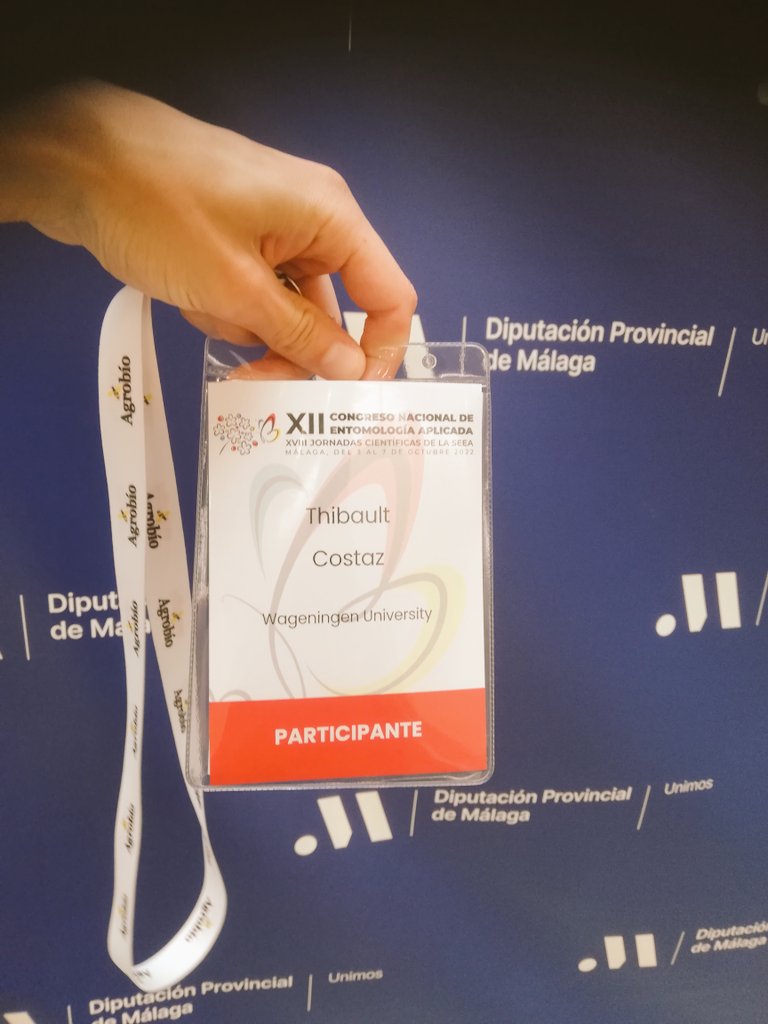 At the national symposium of applied entomology Málaga
