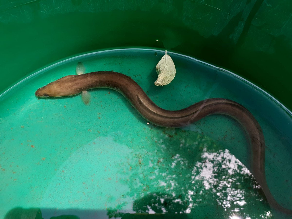 Xarxa de Parcs Naturals tweet media