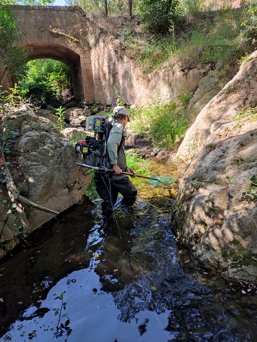 Xarxa de Parcs Naturals tweet media