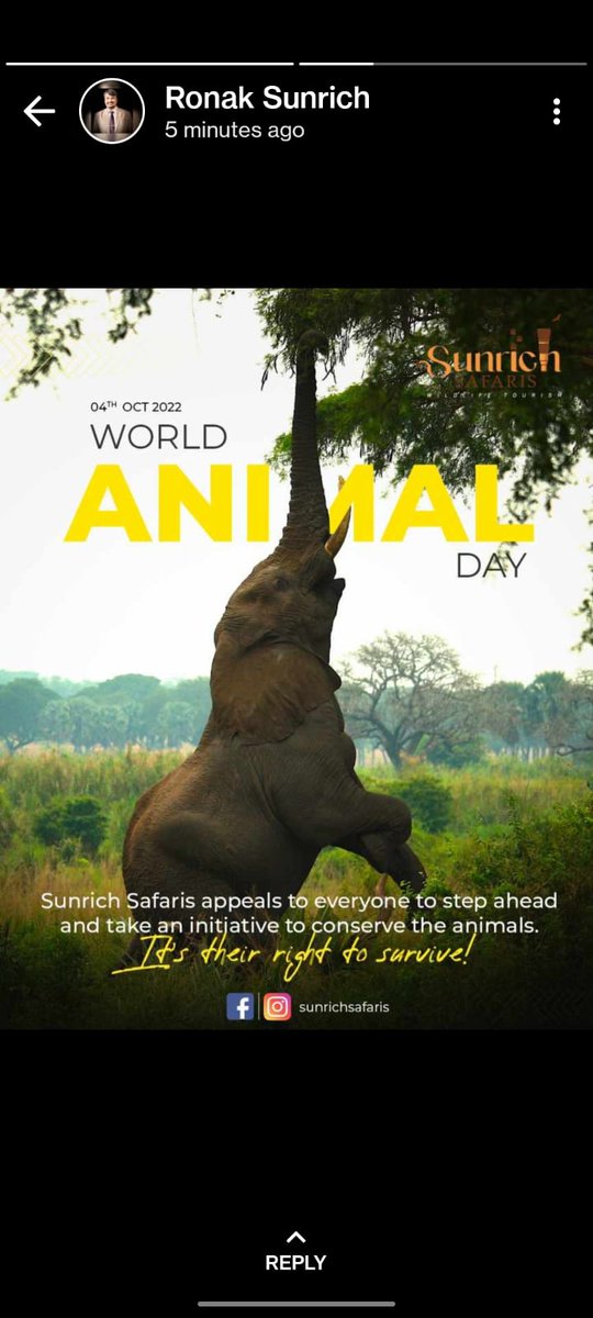 SafarisSunrich's tweet photo. On this World Animal Day, we make everyone an earnest request to Wake Up, stand for them, understand what they are craving for, and Pledge to Save them!
Follow our Journey!
#sunrichsafaris #sunrich #WorldAnimalDay https://t.co/hO9j0qVZi1