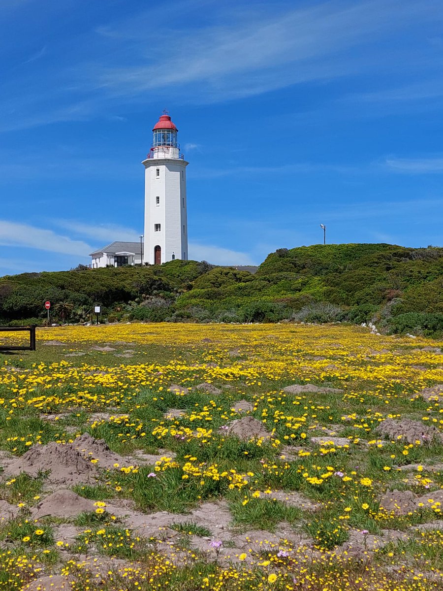 GansbaaiTourism's tweet photo. The Danger Point Lighthouse is open to the public this week. 10h00-15h00. The view from the top is awesome. #lighthouse #Dangerpoint #mustsee #familyouting #Gansbaai https://t.co/SFcBbzIvZj