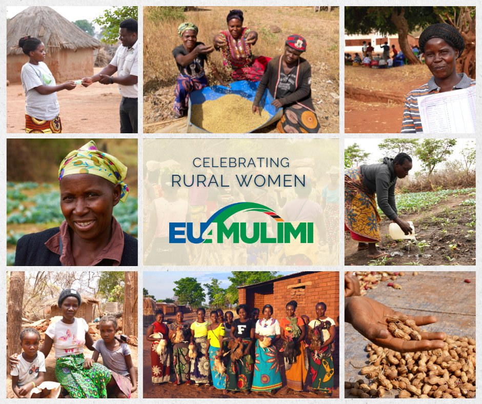 Like this post if you believe that rural women & female farmers 👩‍🌾 are essential for the growth of Zambia's food system! #RuralWomen