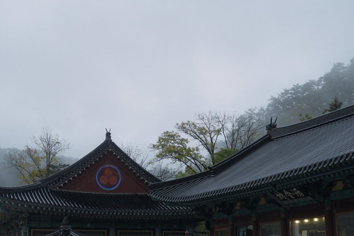 Gihwa_yocho's tweet photo. 안개 짙은 날 사찰은 묘한 분위기가 흐른다. https://t.co/5dSVlUR5Q7