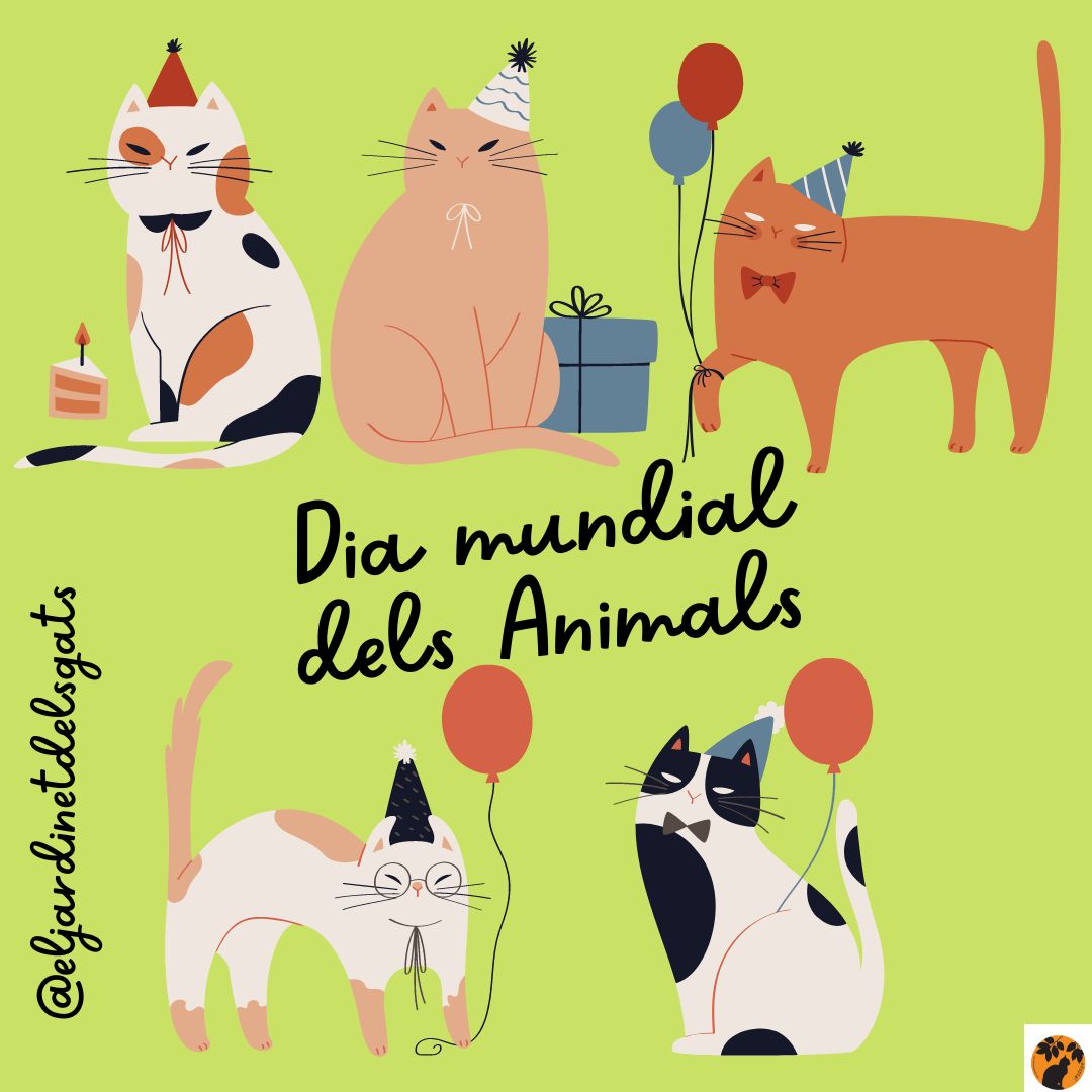 Jardinet dels Gats tweet media