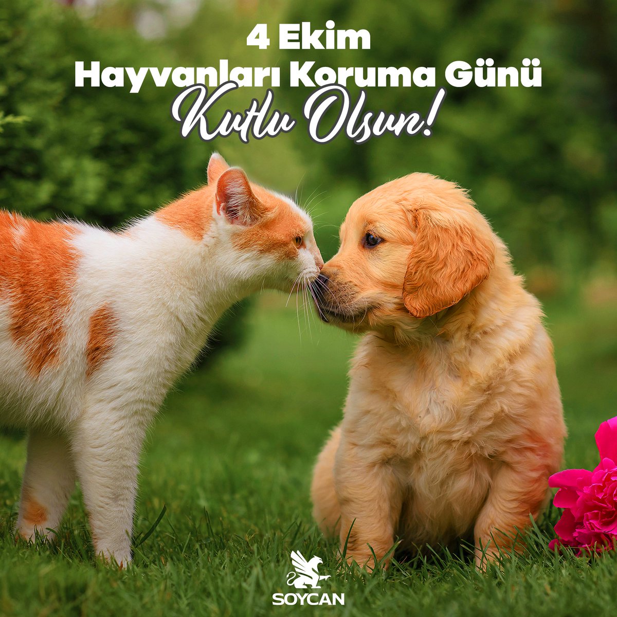 Birlikte yaşadığımız tüm canlılara bir gün değil, her gün sevgiyle yaklaştığımız, yaşam haklarına saygı duyduğumuz bir dünyayı paylaşmak dileğiyle; 
4 Ekim Hayvanları Koruma Günü Kutlu Olsun!

#4Ekim #HayvanlarıKorumaGünü #HayvanHakları