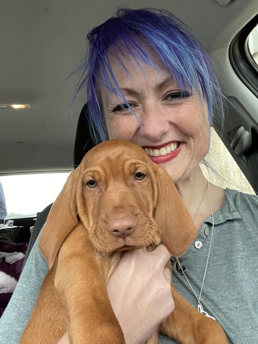 Madonna Livingstone tweet media