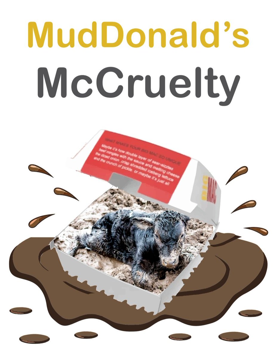 Matt Coffey tweet media