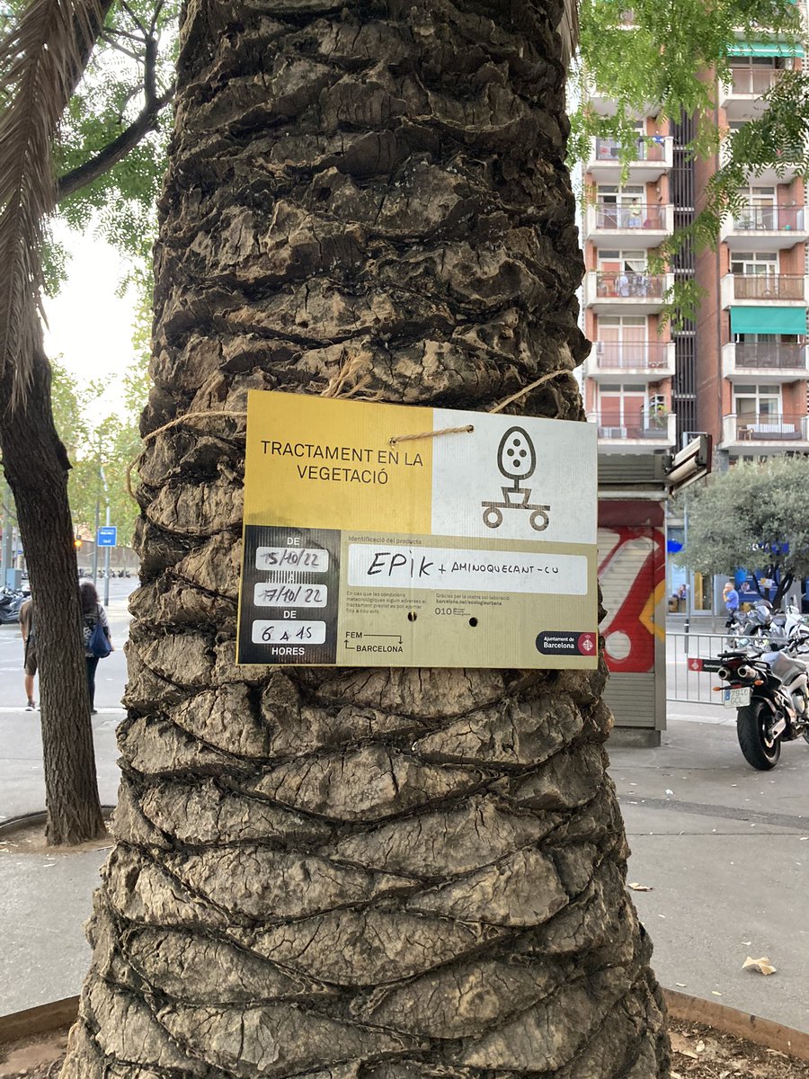 LesTorres_Rubi's tweet photo. Alguna vegada heu vist un tractament de la vegetació a Rubí?  Totalment necesari si no volem q les enfermetats i plagues matin els nostres arbres.   @AndresMedranoRU @volemrubiverd https://t.co/flV51LPkeP