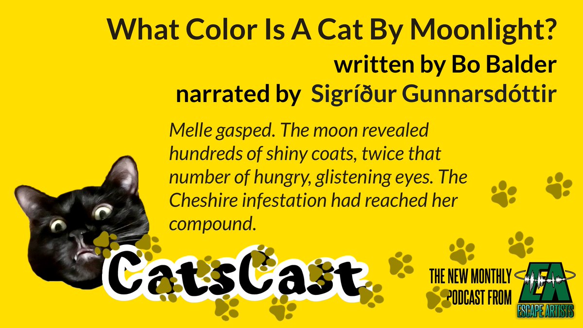 Next is "What Color is a Cat by Moonlight?" by <a href="/bonbalder/">bo balder</a>, narrated by <a href="/thesigga/">Sigga</a>.